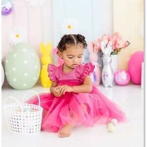 Pink Tutu Dress Baby Girl Hot Pink Tulle Birthday Cake Smash Princess Photo